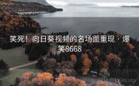 笑死！向日葵视频的名场面重现 · 爆笑8668