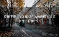 欢乐不断：YSL蜜桃色WWW相关搞笑事件 · 合集7589